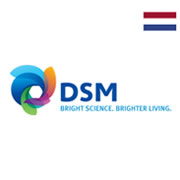 DSM
