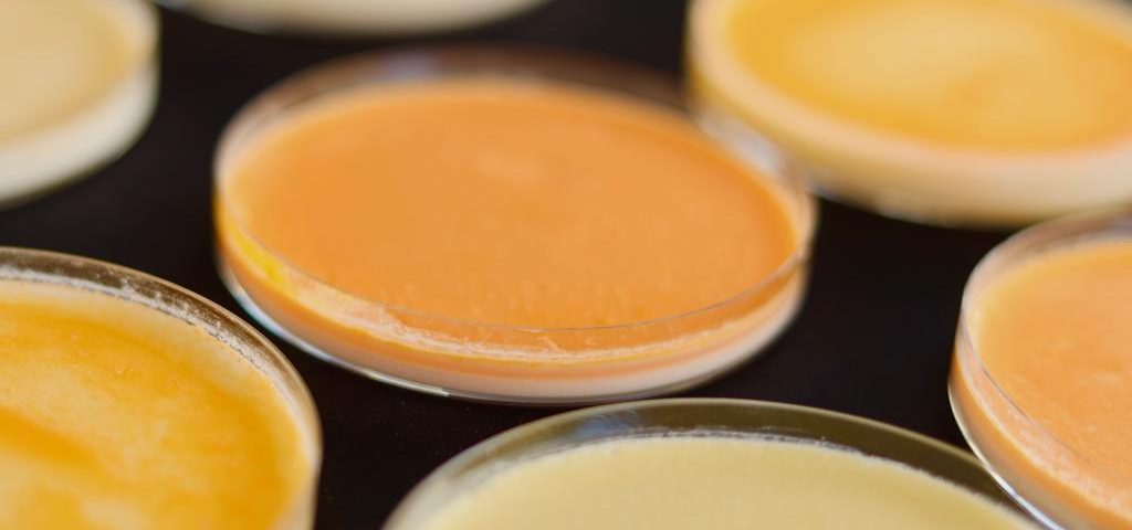 bioproteção