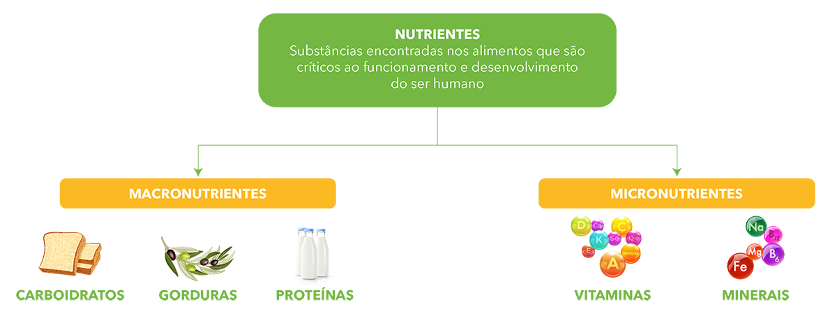 Vitaminas Essenciais