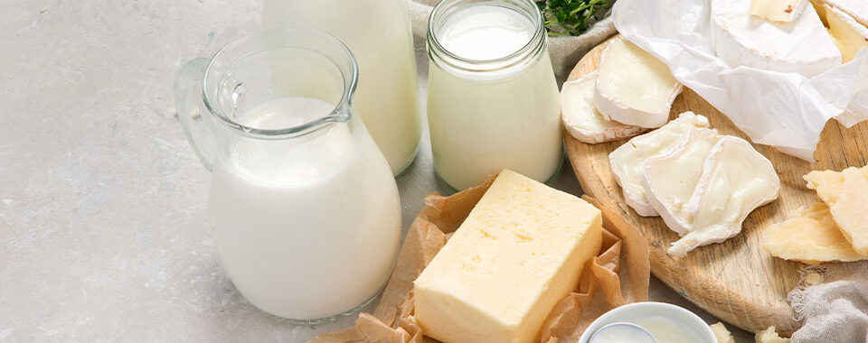 PRODUTOS LÁCTEOS SEM LACTOSE