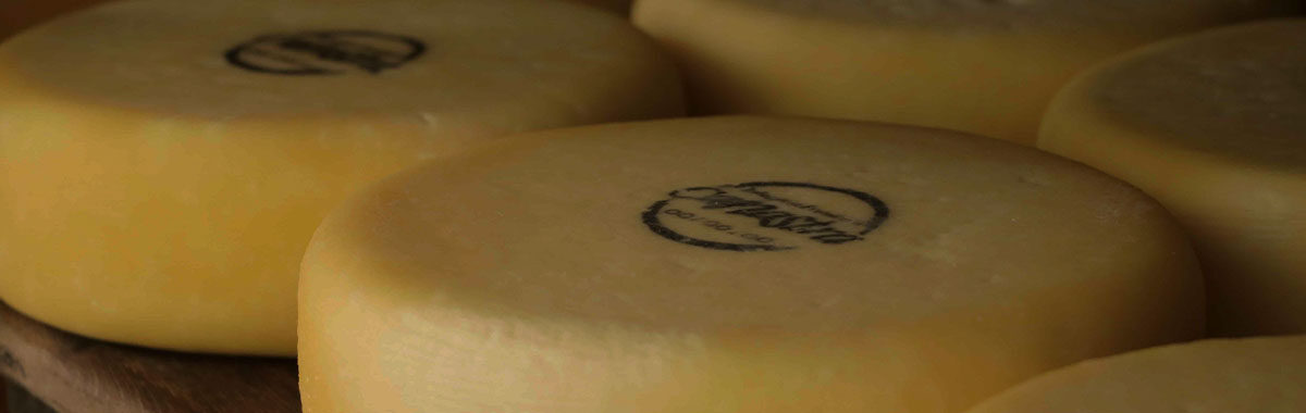 Queijo Minas artesanal