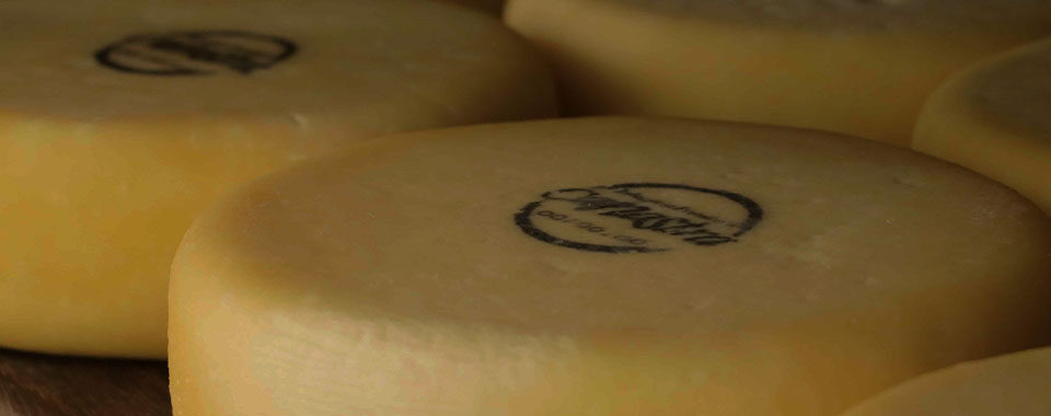 Queijo Minas artesanal